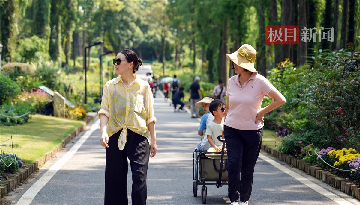 白菜免费彩金大全